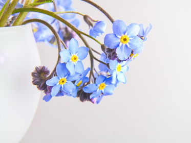 青青在线无码视频 青青在线无码视频