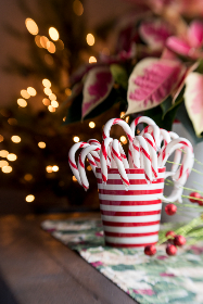 青青伊人国产费观看视频