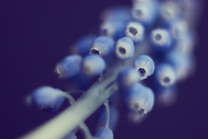 日本做人爱c视频正 日本做人爱c视频正