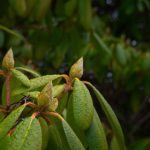 欧美老年人性爱视频网站 try1zy