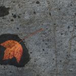 欧美老妇电影视频在线观看 ywr21qb