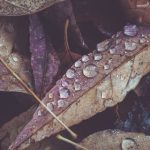 二指一杯:品味生活中的简单与优雅 08b67mg