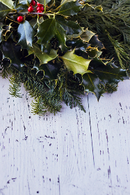 冉冉学姐麻衣：青春岁月中的温暖记忆与成长故事