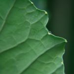 在线高清电影免费:畅享无广告的高品质观影体验 bq2s272c