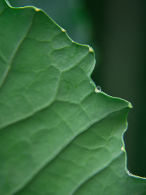 在线高清电影免费:畅享无广告的高品质观影体验 在线高清电影免费:畅享无广告的高品质观影体验