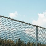 书包网TXT:畅享海量小说资源的最佳平台 bten75g