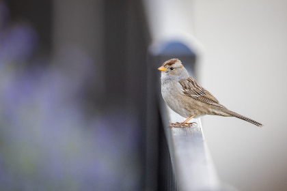 在被窝电影院天狼，享受温馨私密的观影体验