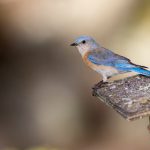 yitongkan website:探索一站式在线购物平台的无限可能性与便利性 k5k4p