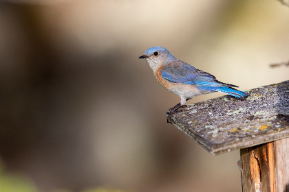 yitongkan website:探索一站式在线购物平台的无限可能性与便利性 yitongkan website:探索一站式在线购物平台的无限可能性与便利性