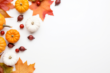 yify:探索YIFY电影下载的魅力与使用技巧 yify:探索YIFY电影下载的魅力与使用技巧