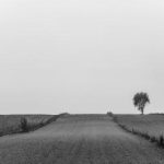 如何安全访问Exhentai网站及其IP地址解析 n0rs5lkk2j