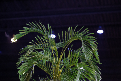 四虎影院在线观看一区二区三区:畅享最新影视资源,尽在四虎影院! 四虎影院在线观看一区二区三区:畅享最新影视资源,尽在四虎影院!